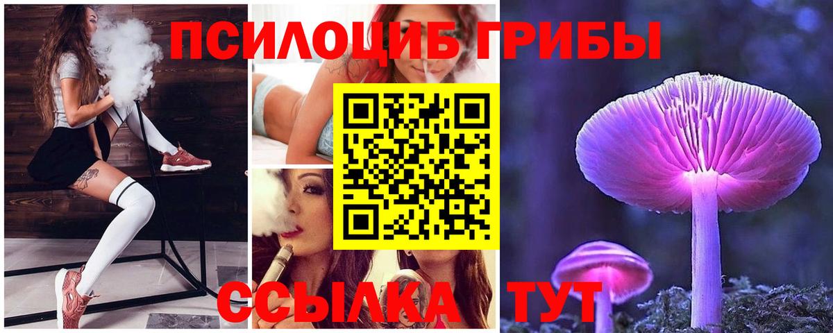 Галлюциногенные грибы Psilocybe  Вход с VPN  Выборг 