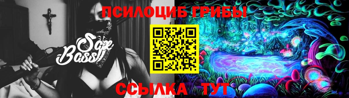 Галлюциногенные грибы Cubensis Выборг
