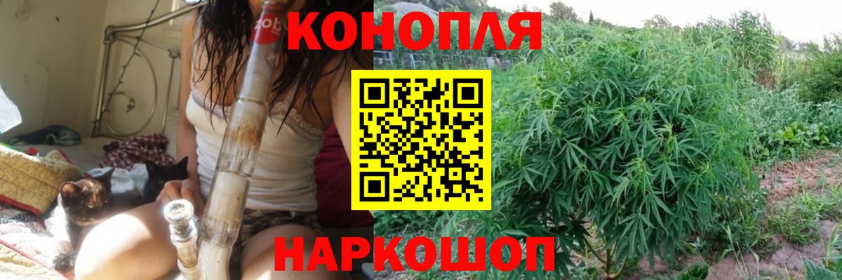 Конопля гибрид Выборг